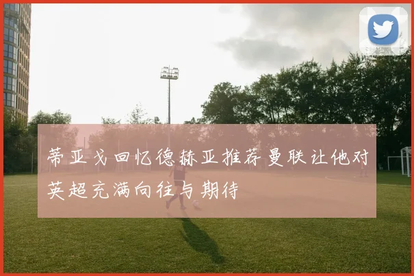 蒂亚戈回忆德赫亚推荐曼联让他对英超充满向往与期待